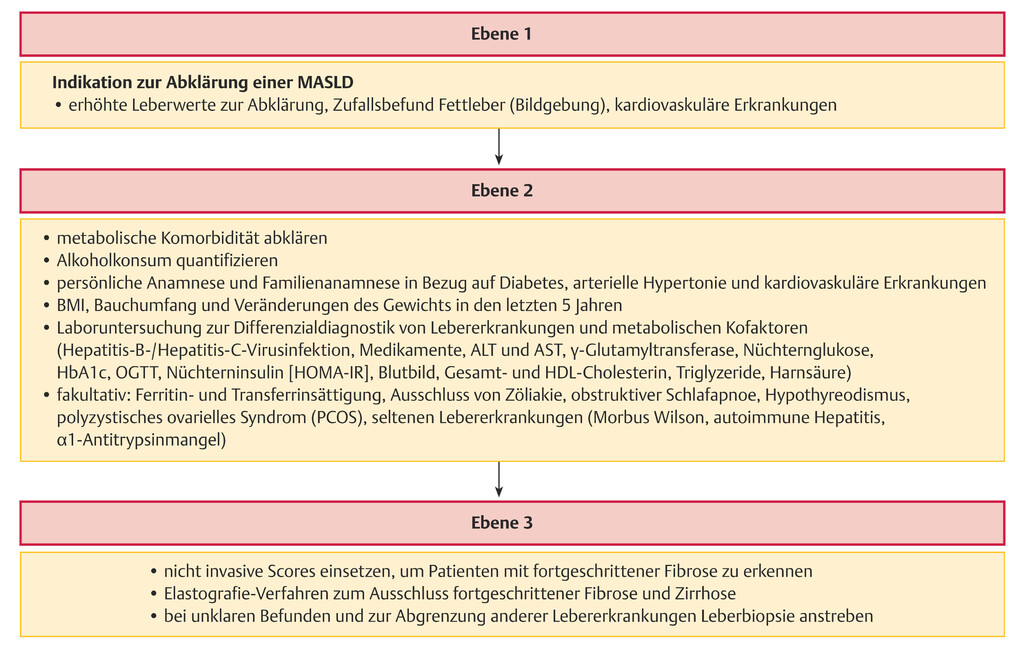 Abb.5.26-Diagnostischer-Algorithmus-der-MASLD