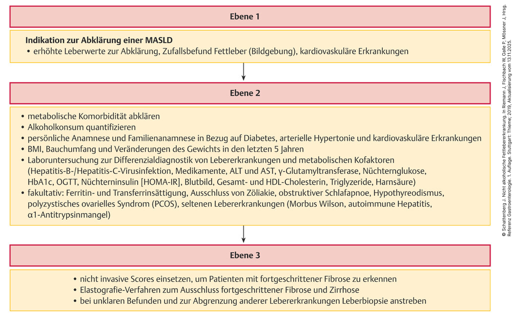 Abb.5.26-Diagnostischer-Algorithmus-der-MASLD
